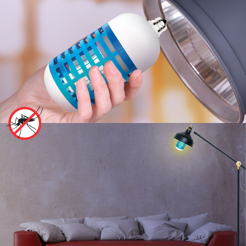 Disfruta de un verano sin insectos: Consejos prácticos y soluciones eficaces para tu hogar