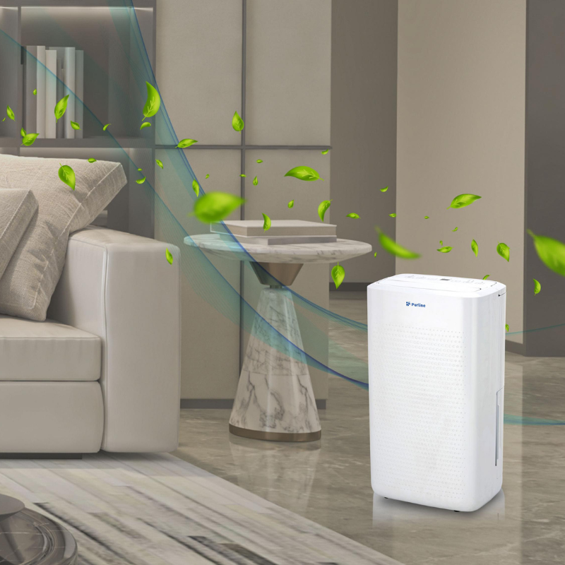 Respira mejor en casa: dile adiós a la humedad