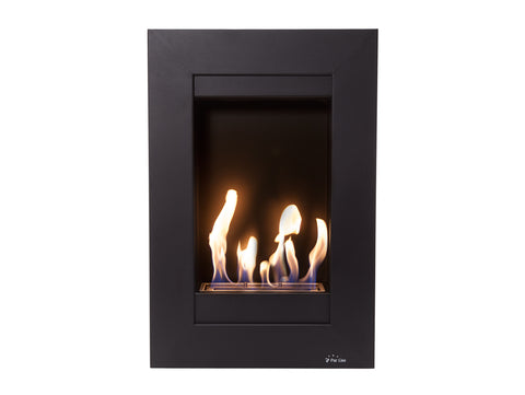Chimeneas bioetanol pared Material Acero
