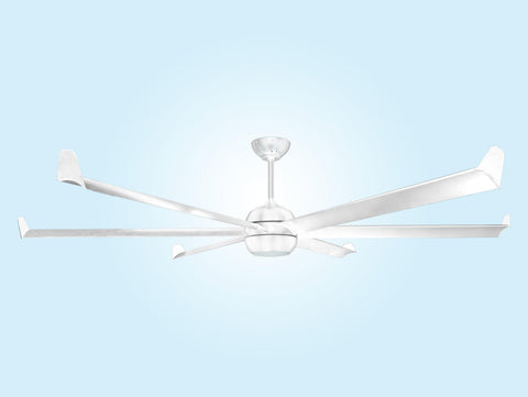 Diámetro 236 cm 8435525606550 BIGCOOL WHITE