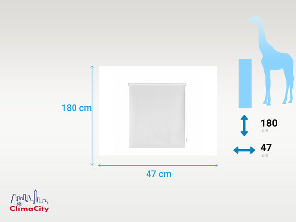 EASYZEUS_47x180_CREMA: Estores