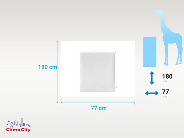 EASYZEUS_77x180_GRIS: Estores