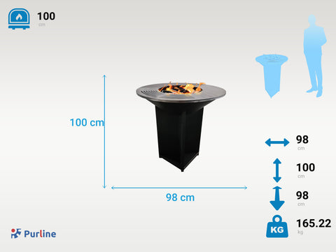 EFP56B: Barbacoa grande en negro con plancha acero y grill