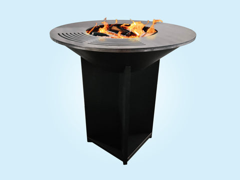 Combustible Leña o carbón 8436545098752 EFP56B