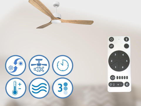 Ventiladores de Techo  