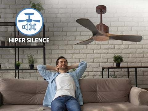 Ventiladores de Techo  