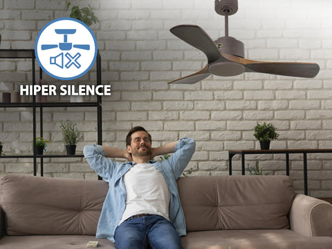 Ventiladores de Techo  
