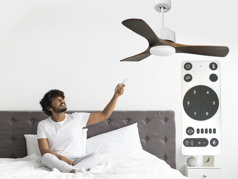 Ventiladores de Techo  