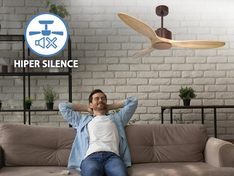 Salamis D132 C02 66855: Ventilador de Techo ø132 cm con Wifi Reversible Hypersilence