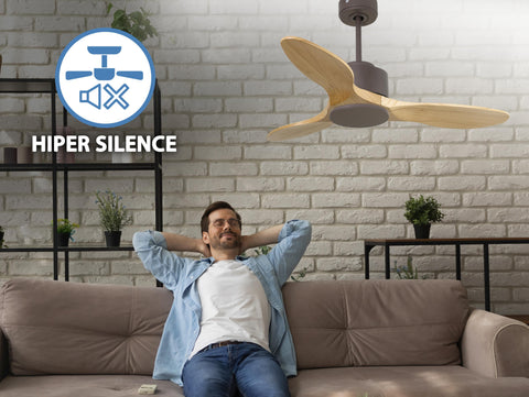 Ventiladores de Techo  