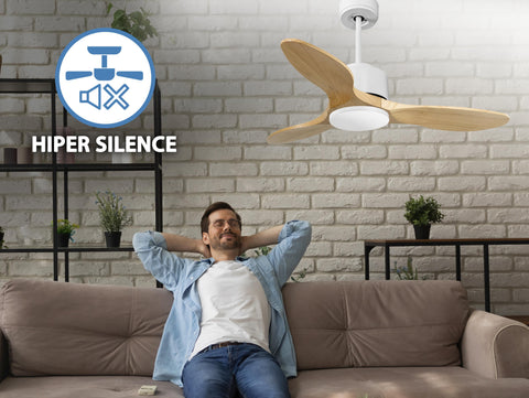Ventiladores de Techo  