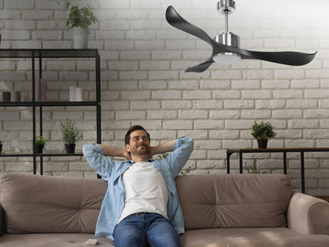 Ventiladores de Techo  
