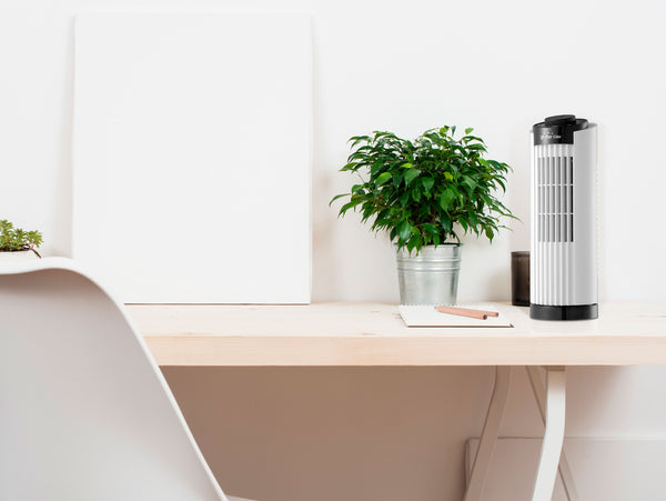 VENTY TO 10: Ventiladores