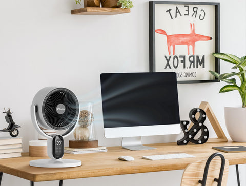 VENTY APOLLO: Ventiladores