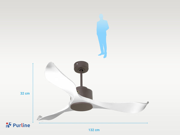 Virgin D132 C02 65311: Ventiladores de Techo