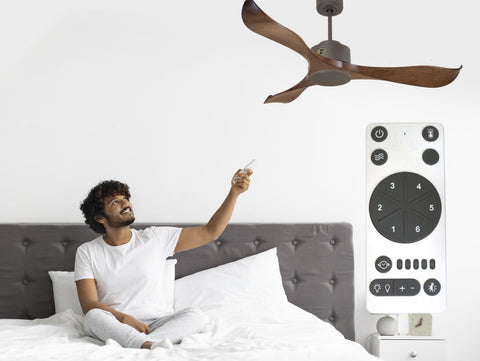 Ventiladores de Techo  