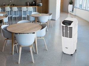 Climatizador evaporativo para medianas/grandes superficies, Empire 25l, purificador de aire, Vego_2