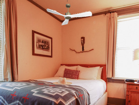 Ventilador de techo Modo Invierno/Verano Termostato Wifi Motor DC Techos Inclinados Mando a Distancia Hypersilence Memoria FullWood