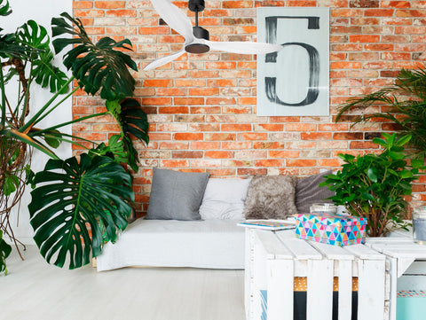 Ventilador de techo Modo Invierno/Verano Termostato Wifi Motor DC Techos Inclinados Mando a Distancia Hypersilence Memoria FullWood