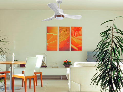 Ventilador de techo Wifi Motor DC Mando a Distancia Luz tres tonos Hypersilence Memoria