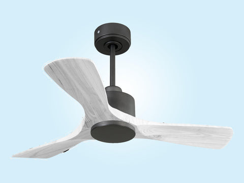 Ventilador de techo Wifi Motor DC Mando a Distancia Hypersilence Memoria