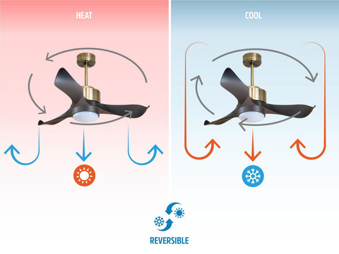 Ventilador de techo