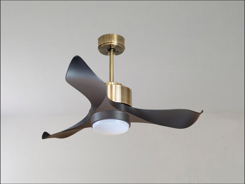 Ventilador de techo