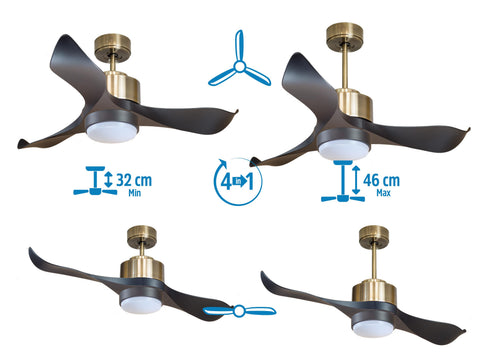 Ventilador de techo
