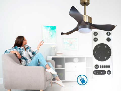 Ventilador de techo