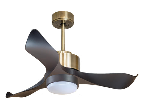 Ventilador de techo