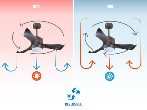 Ventilador de techo