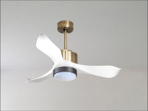 Ventilador de techo