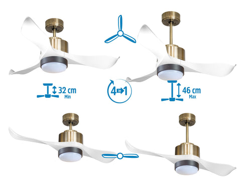 Ventilador de techo