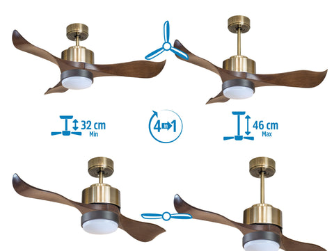 Ventilador de techo