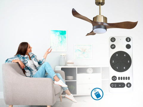 Ventilador de techo