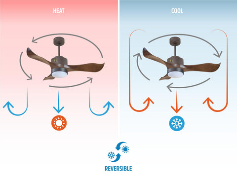 Ventilador de techo