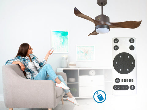 Ventilador de techo