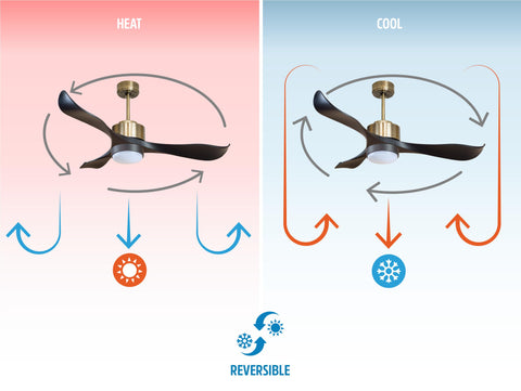Ventilador de techo
