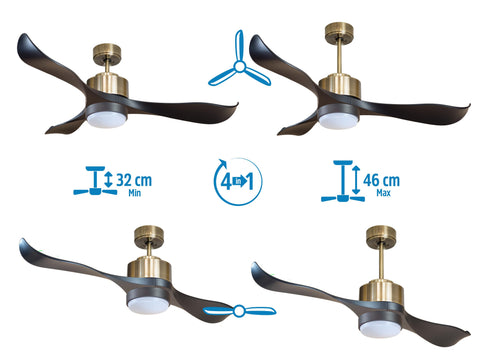 Ventilador de techo