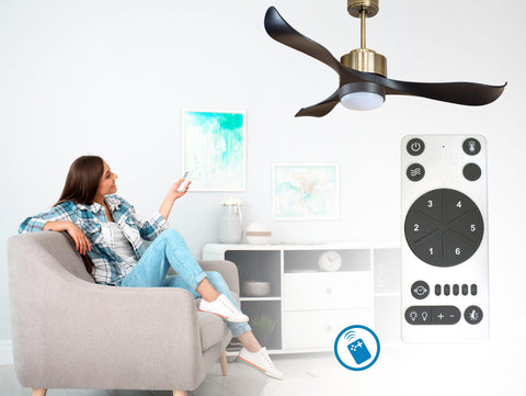 Ventilador de techo