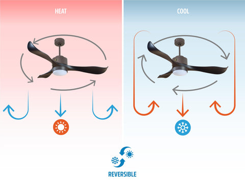 Ventilador de techo