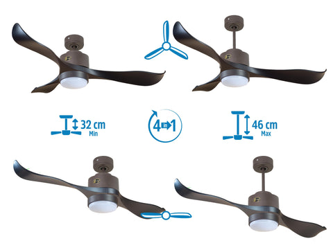 Ventilador de techo