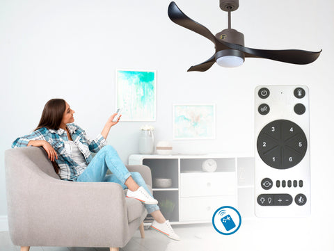 Ventilador de techo