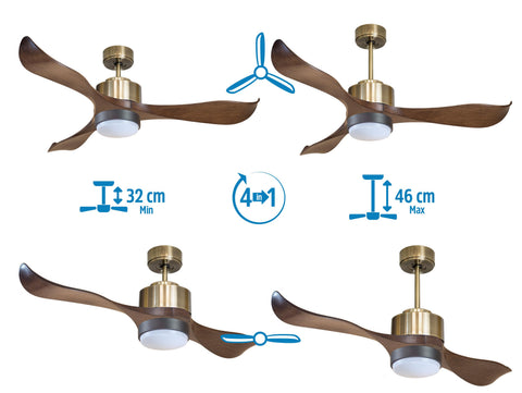 Ventilador de techo