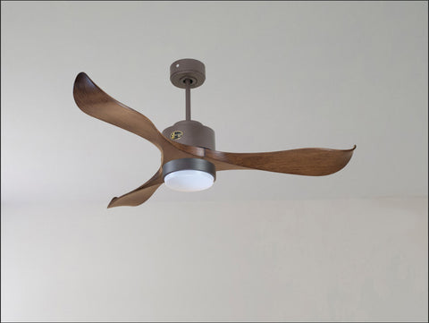 Ventilador de techo