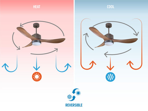 Ventilador de techo