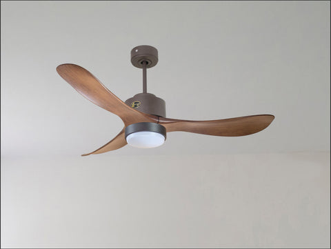 Ventilador de techo