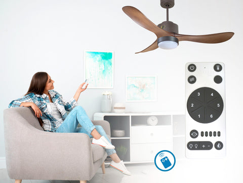 Ventilador de techo