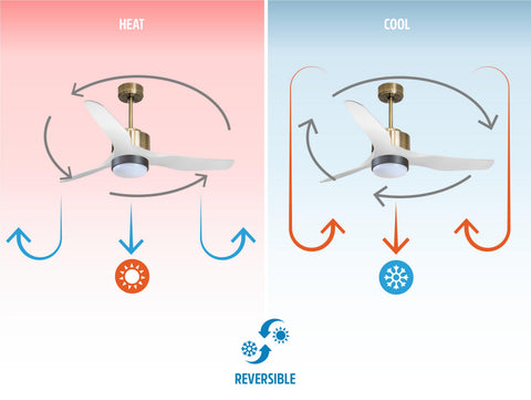 Ventilador de techo