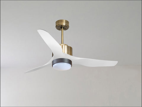 Ventilador de techo